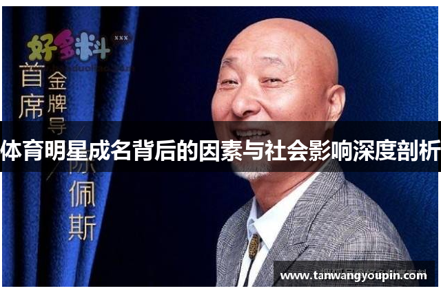 体育明星成名背后的因素与社会影响深度剖析